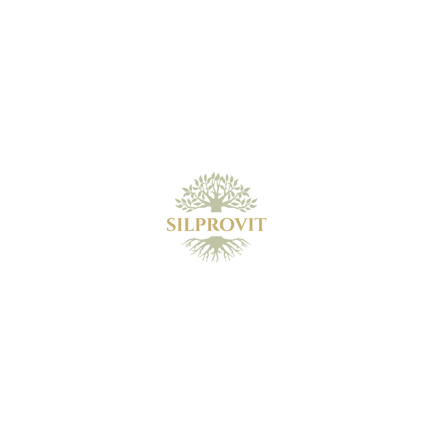 sponsor
